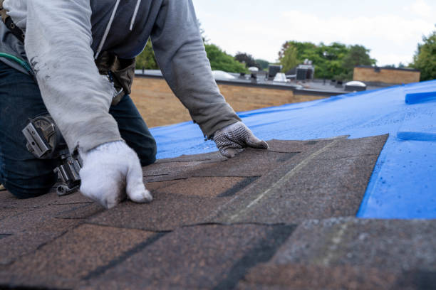 Best Residential Roofing Contractor  in Huntley, IL